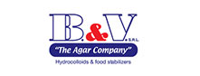 logo-b&v