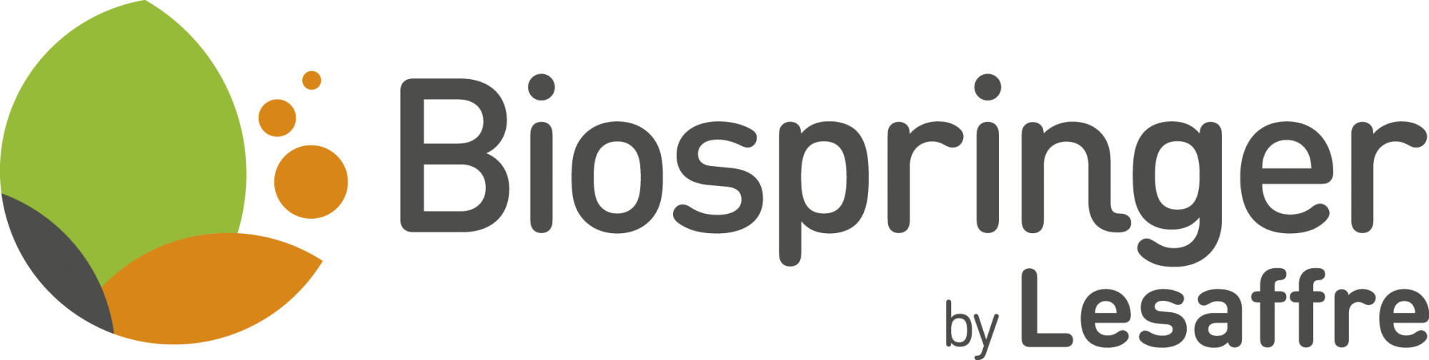 logo – BIOSPRINGER